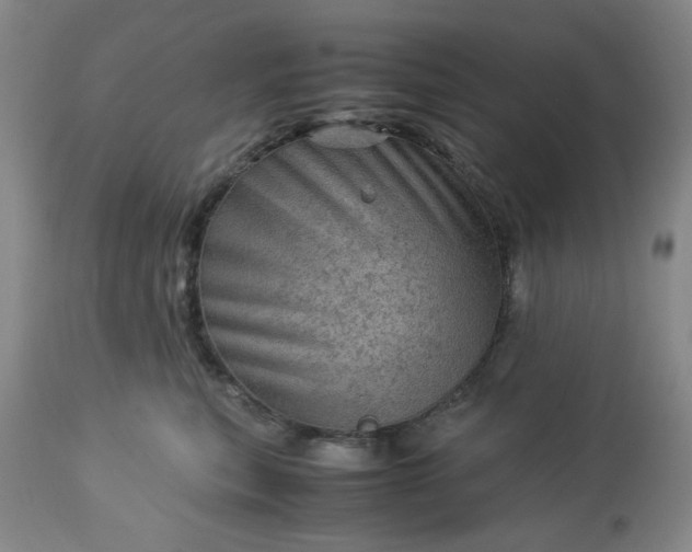 X0000113590567200910021720