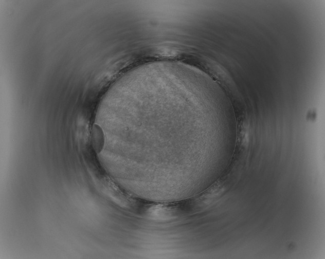 X0000113590568200910021720