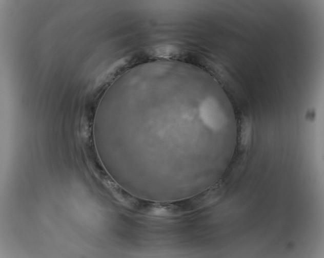 X0000113590569200910021720