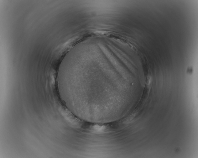 X0000113590570200910021720