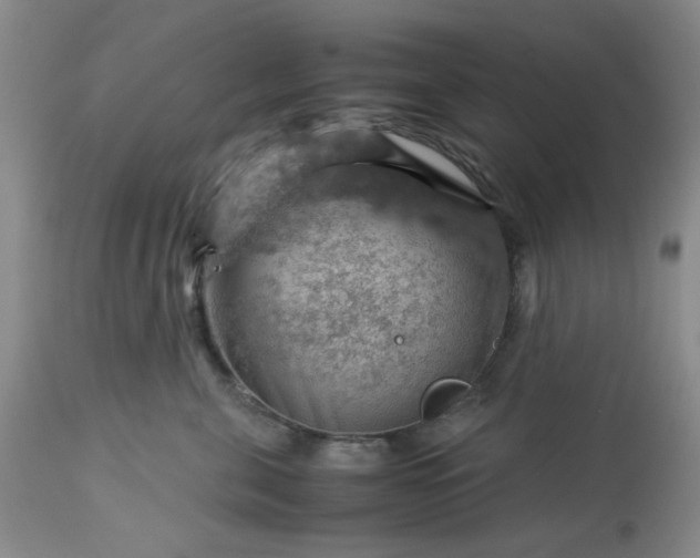 X0000113590571200910021720