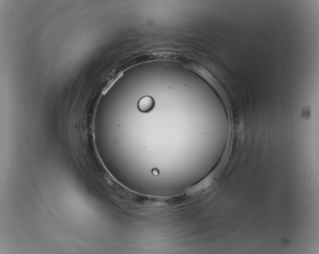 X0000113590572200910021720