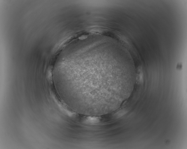 X0000113590573200910021720