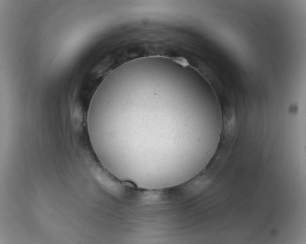 X0000113590574200910021720