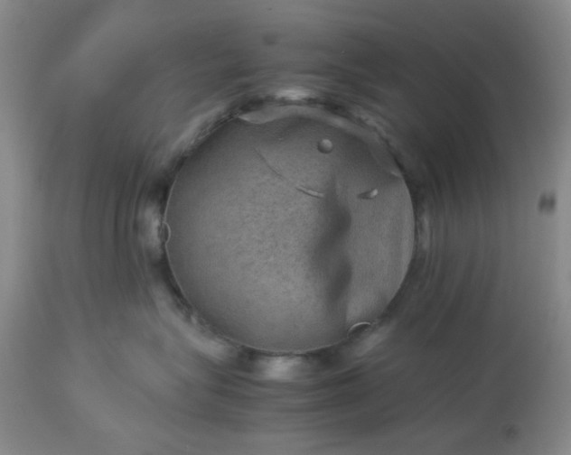 X0000113590575200910021720