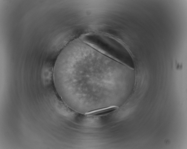 X0000113590576200910021720