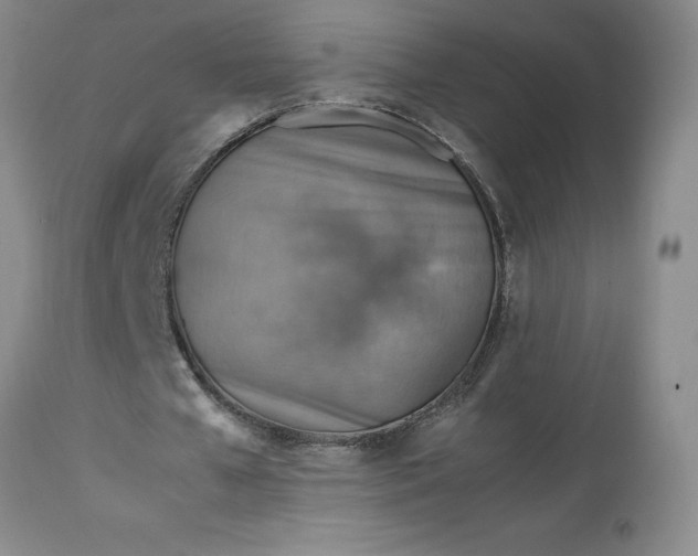 X0000113590577200910021719