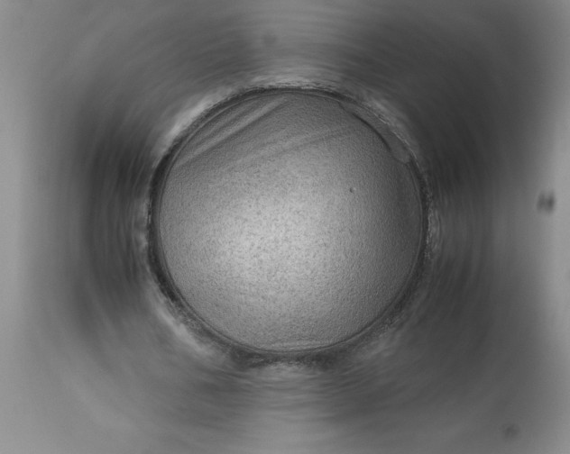 X0000113590578200910021719