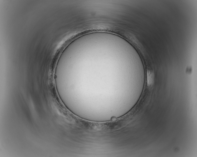 X0000113590579200910021719