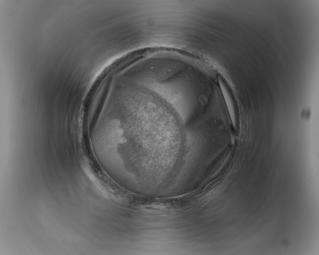 X0000113590580200910021719