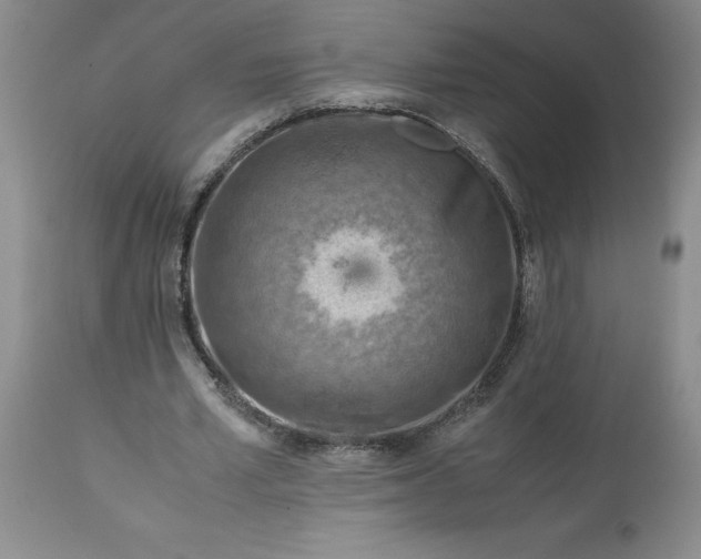 X0000113590581200910021719