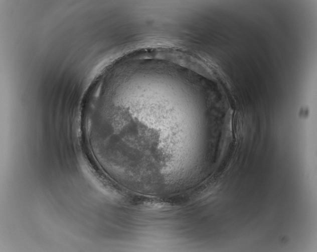 X0000113590582200910021719