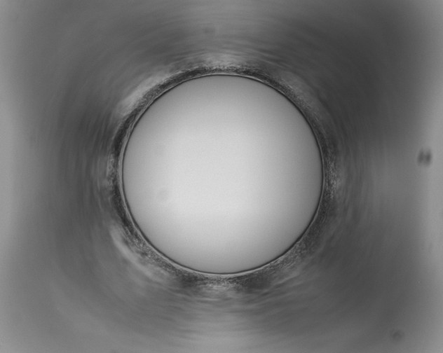 X0000113590583200910021719