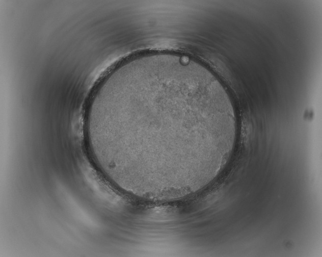 X0000113590584200910021719