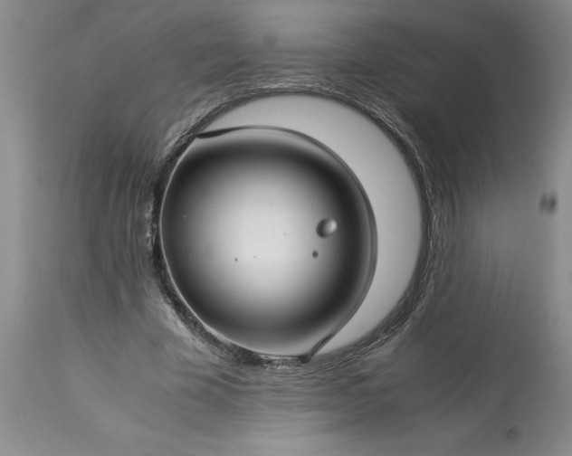 X0000113590585200910021719