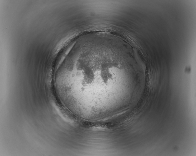 X0000113590586200910021719