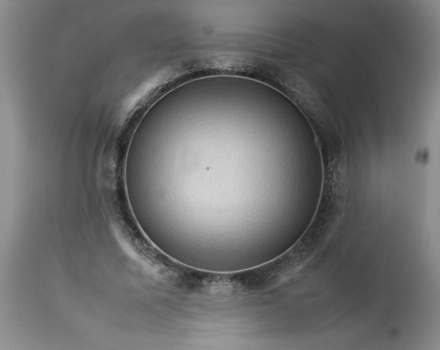 X0000113590587200910021719