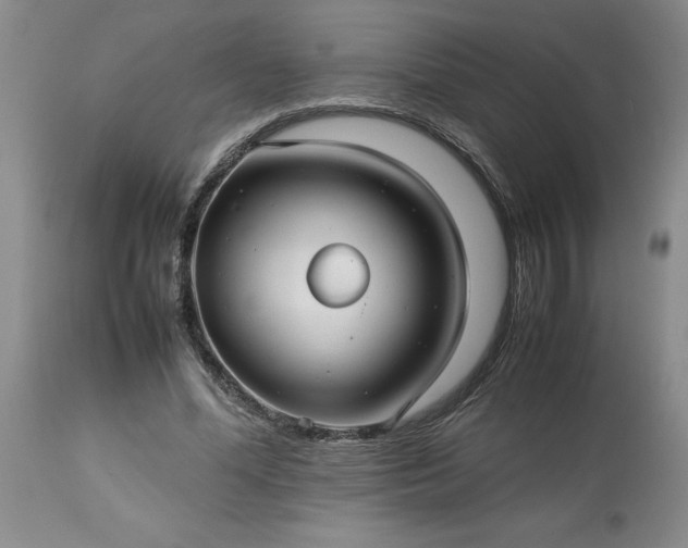 X0000113590588200910021719