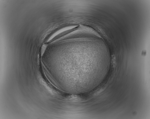 X0000113590589200910021719