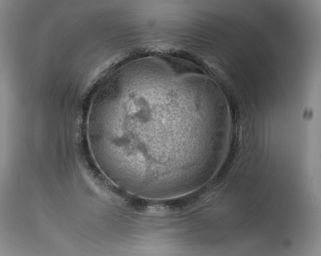 X0000113590591200910021719