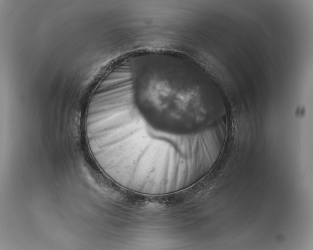 X0000113590592200910021719