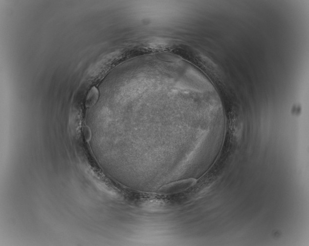 X0000113590593200910021719