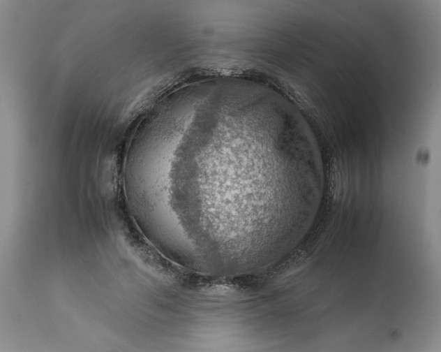 X0000113590594200910021719