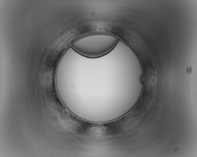 X0000113590595200910021719