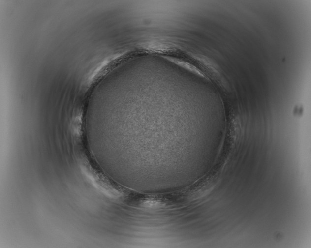 X0000113590596200910021719