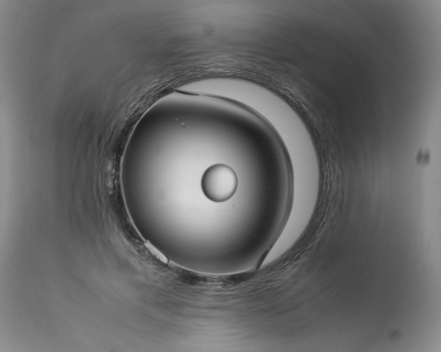 X0000113590597200910021719