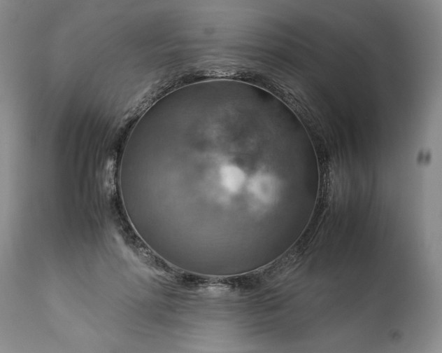 X0000113590598200910021719