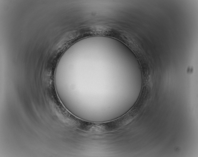 X0000113590599200910021719