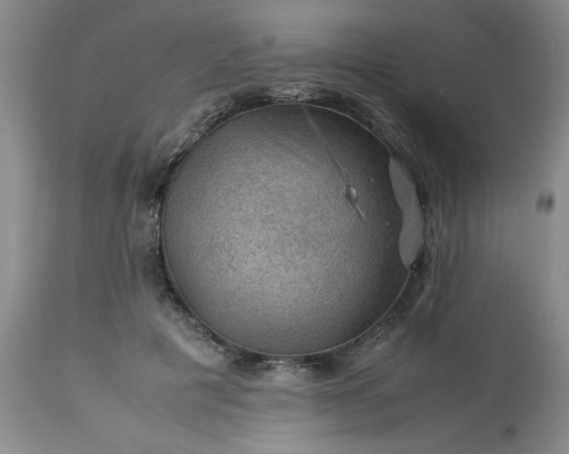 X0000113590601200910021719