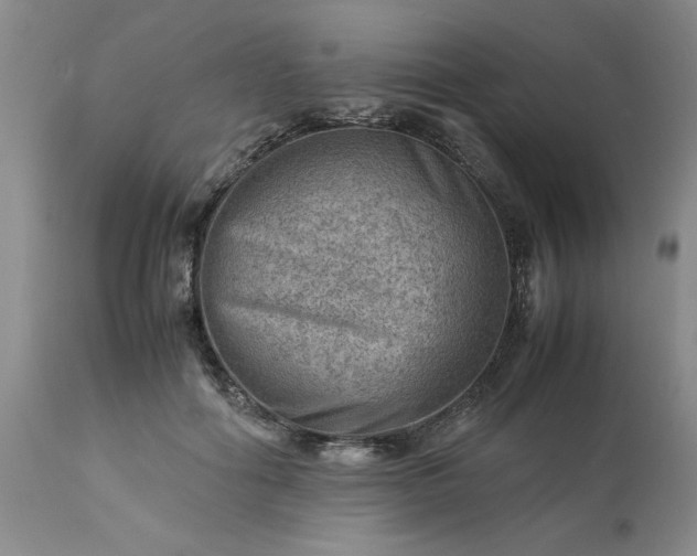 X0000113590602200910021719