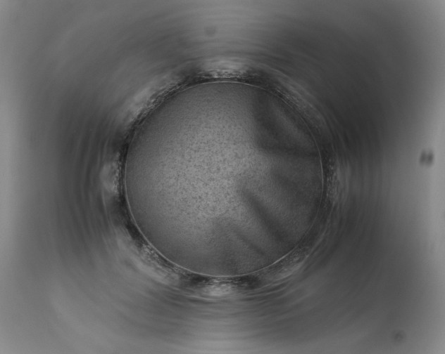 X0000113590604200910021719