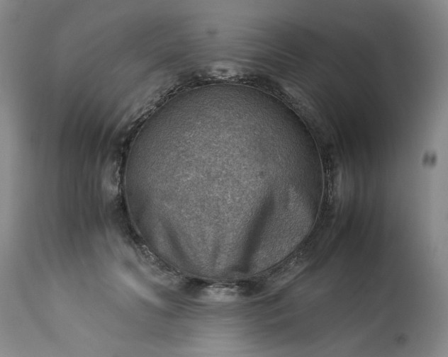 X0000113590606200910021719