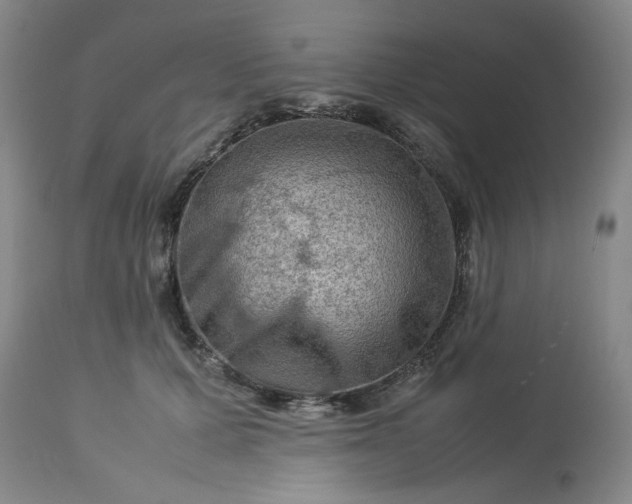 X0000113590607200910021719