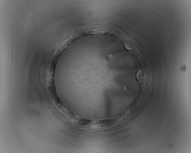 X0000113590608200910021719