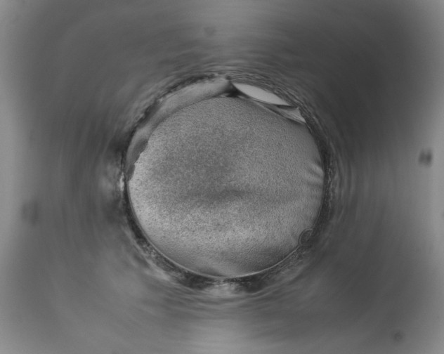 X0000113590609200910021719