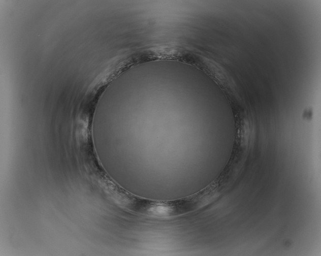 X0000113590610200910021719