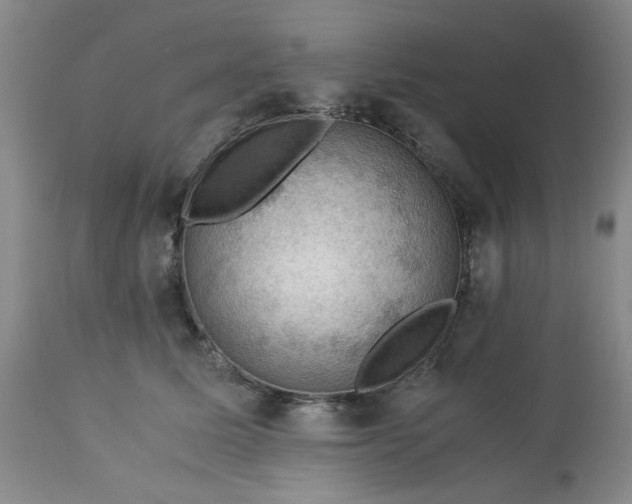 X0000113590611200910021719