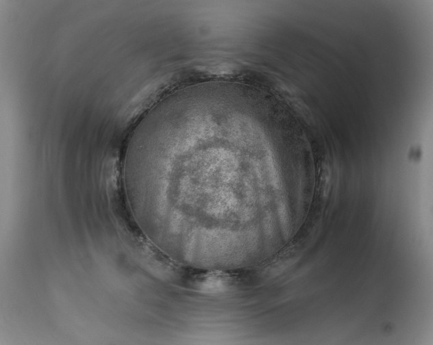 X0000113590612200910021719