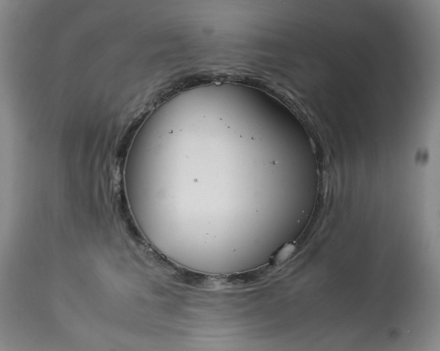 X0000113590613200910021719