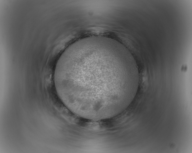 X0000113590615200910021719