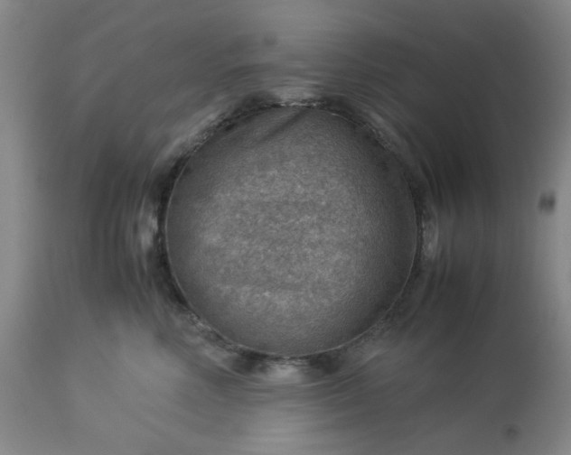 X0000113590618200910021719