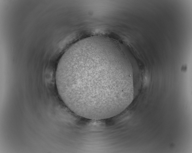 X0000113590619200910021719