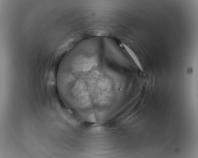 X0000113590620200910021719