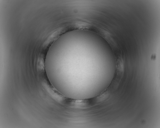 X0000113590622200910021719