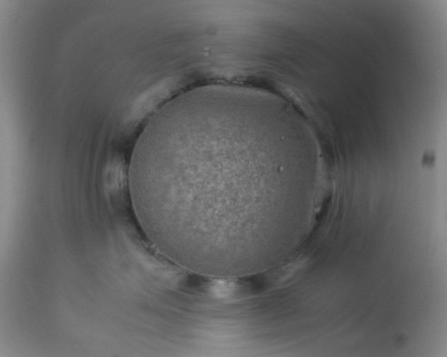 X0000113590623200910021719