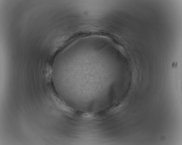 X0000113590624200910021719